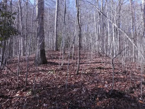Sr 1218 Pinhook Road Robbinsville NC 28771