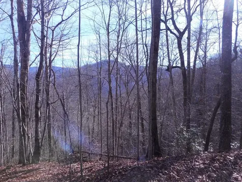 Sr 1218 Pinhook Road Robbinsville NC 28771