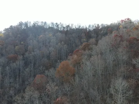 Sr 1218 Pinhook Road Robbinsville NC 28771