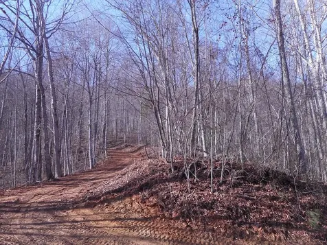 Sr 1218 Pinhook Road Robbinsville NC 28771