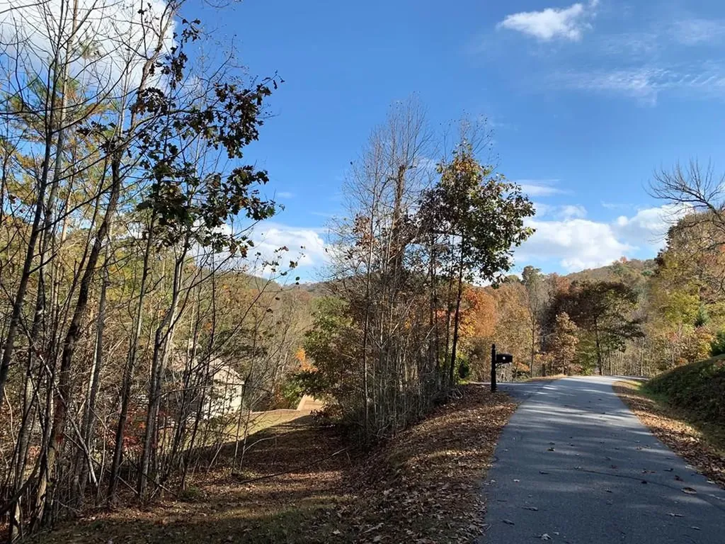 25&26 Mountain Knoll Lane Warne NC 28909