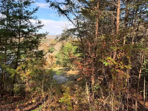 25&26 Mountain Knoll Lane Warne NC 28909