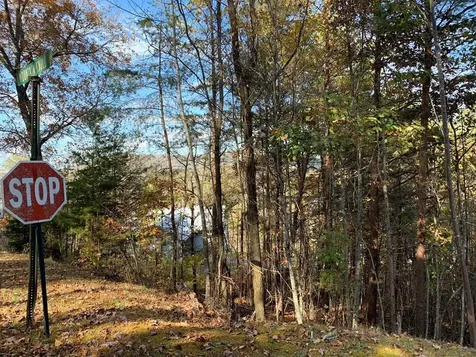 25&26 Mountain Knoll Lane Warne NC 28909