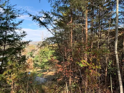25&26 Mountain Knoll Lane Warne NC 28909
