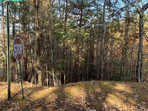 25&26 Mountain Knoll Lane Warne NC 28909