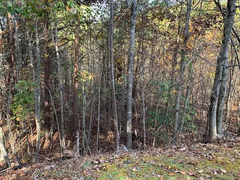 25&26 Mountain Knoll Lane Warne NC 28909