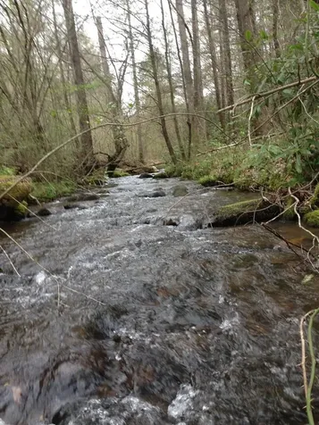 55 Greasey Creek Road Murphy NC 28906