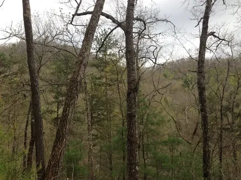55 Greasey Creek Road Murphy NC 28906