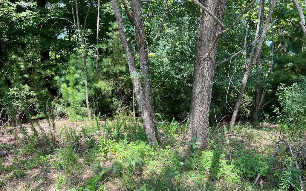Lot 59 Fires Creek Cove Hayesville NC 28904