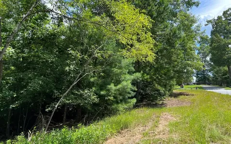 Lot 59 Fires Creek Cove Hayesville NC 28904