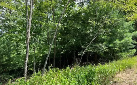 Lot 59 Fires Creek Cove Hayesville NC 28904