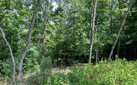 Lot 59 Fires Creek Cove Hayesville NC 28904