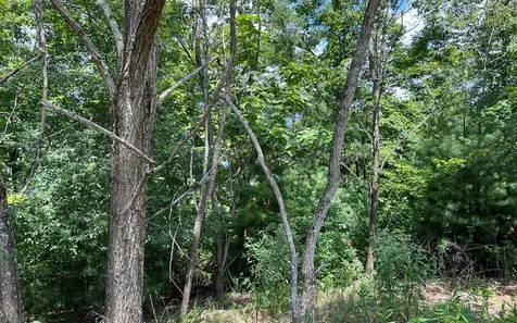 Lot 59 Fires Creek Cove Hayesville NC 28904