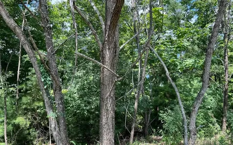 Lot 59 Fires Creek Cove Hayesville NC 28904