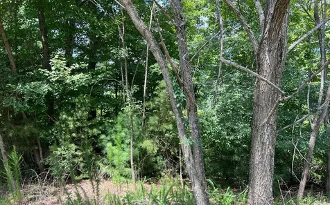 Lot 59 Fires Creek Cove Hayesville NC 28904