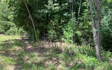 Lot 59 Fires Creek Cove Hayesville NC 28904