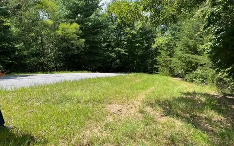 Lot 59 Fires Creek Cove Hayesville NC 28904