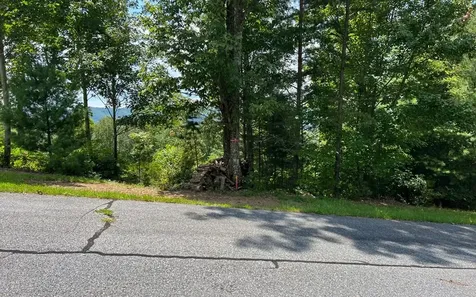 Lot 59 Fires Creek Cove Hayesville NC 28904