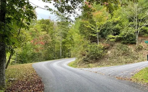 Lot 59 Fires Creek Cove Hayesville NC 28904