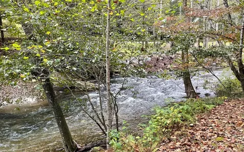 Lot 59 Fires Creek Cove Hayesville NC 28904