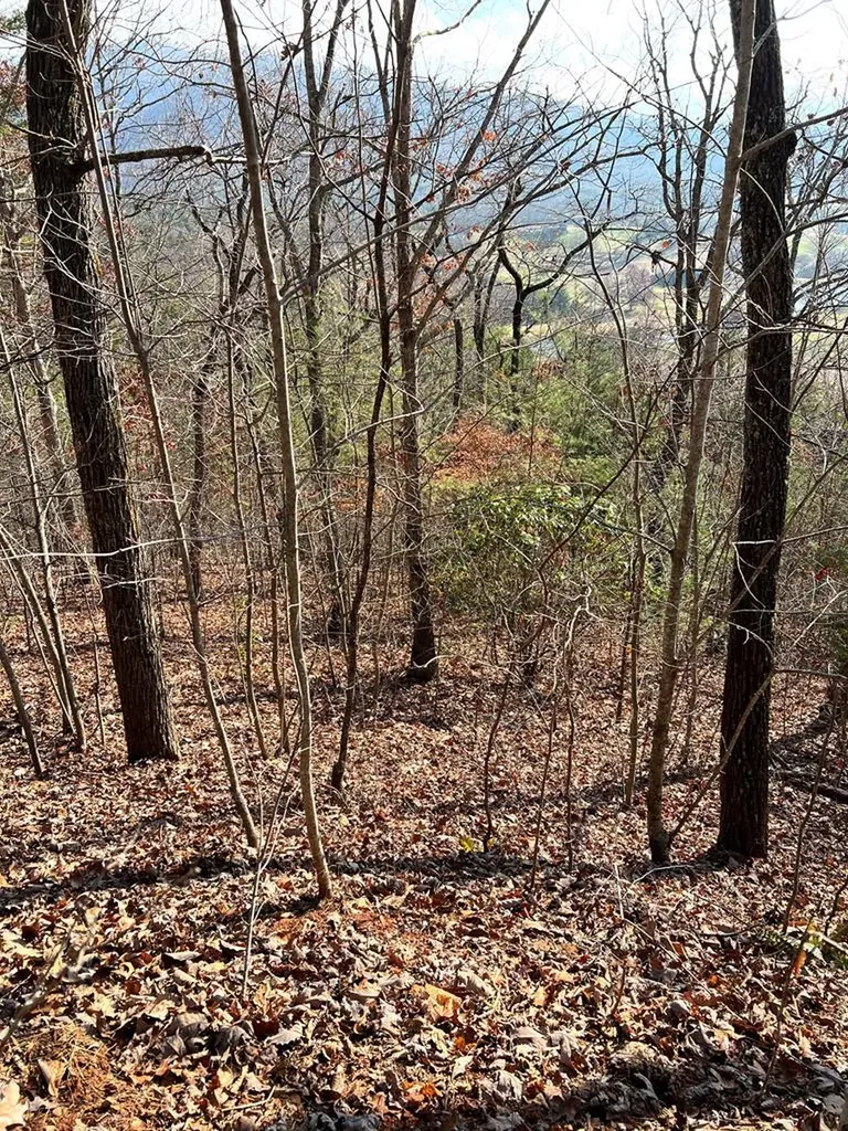 Lot 56c Indian Trail Hayesville NC 28904