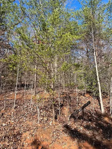 Lot 56c Indian Trail Hayesville NC 28904