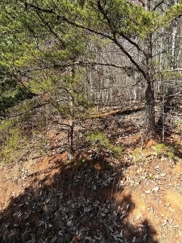 Lot 56c Indian Trail Hayesville NC 28904