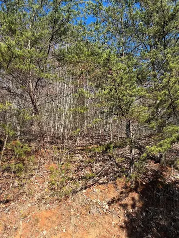 Lot 56c Indian Trail Hayesville NC 28904