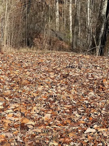 Lot 56c Indian Trail Hayesville NC 28904