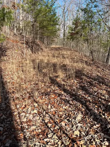 Lot 56c Indian Trail Hayesville NC 28904