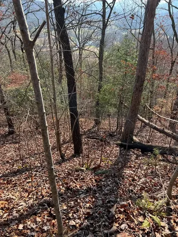 Lot 56c Indian Trail Hayesville NC 28904