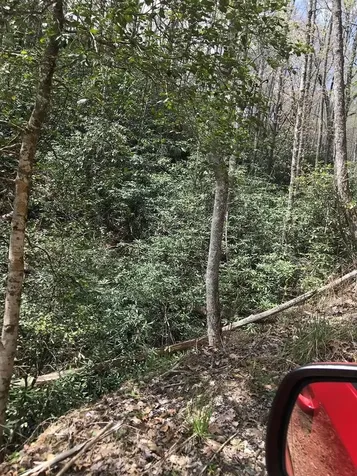 604 Upper Sawyers Creek Robbinsville NC 28771