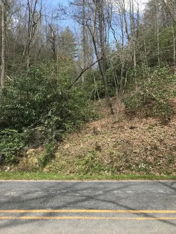 604 Upper Sawyers Creek Robbinsville NC 28771