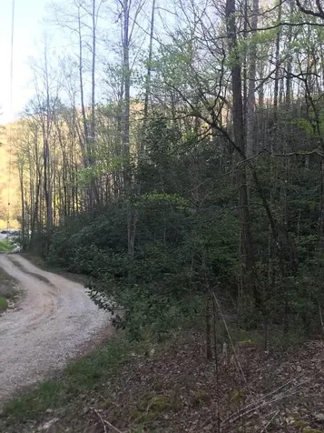 604 Upper Sawyers Creek Robbinsville NC 28771