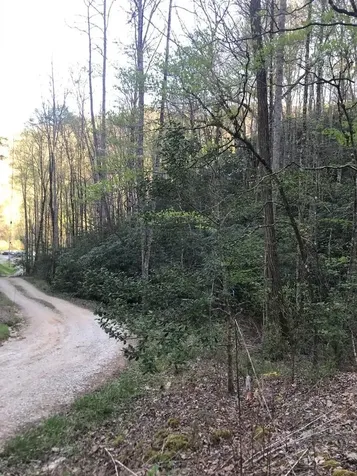 604 Upper Sawyers Creek Robbinsville NC 28771