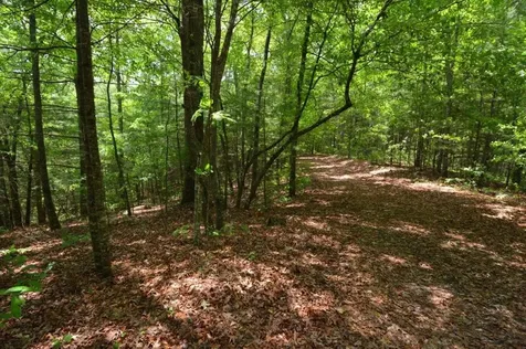 51-53 Hickory Lane Robbinsville NC 28771