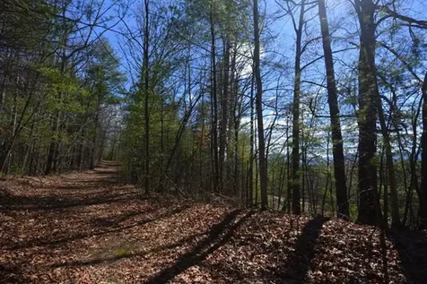 51-53 Hickory Lane Robbinsville NC 28771