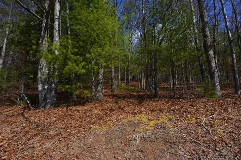 51-53 Hickory Lane Robbinsville NC 28771