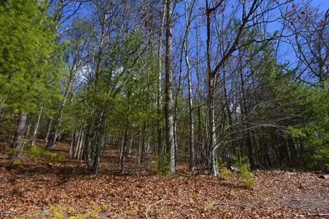 51-53 Hickory Lane Robbinsville NC 28771