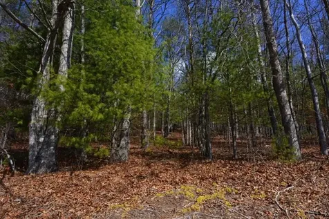 51-53 Hickory Lane Robbinsville NC 28771