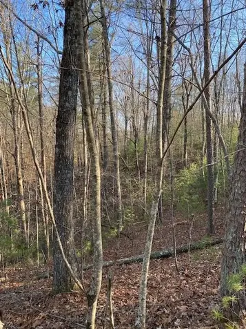0 Proghorn Lane Murphy NC 28906