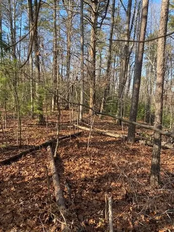 0 Proghorn Lane Murphy NC 28906