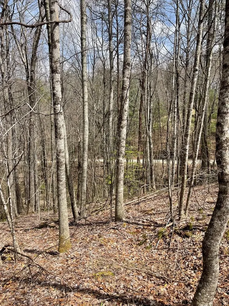 00 Hidden Lakes Topton NC 28781