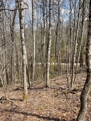 00 Hidden Lakes Topton NC 28781