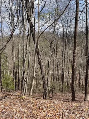 00 Hidden Lakes Topton NC 28781