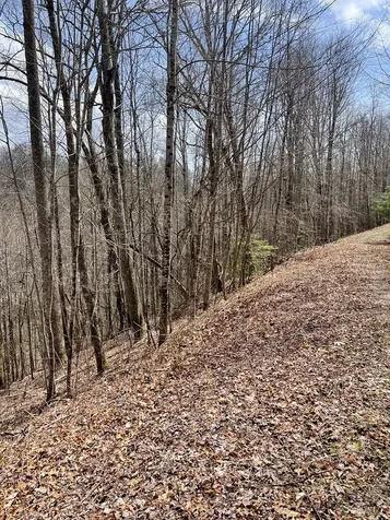 00 Hidden Lakes Topton NC 28781