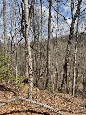 00 Hidden Lakes Topton NC 28781