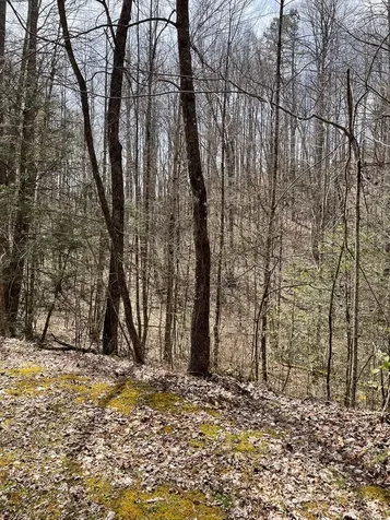 00 Hidden Lakes Topton NC 28781
