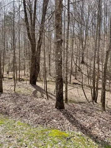 00 Hidden Lakes Topton NC 28781