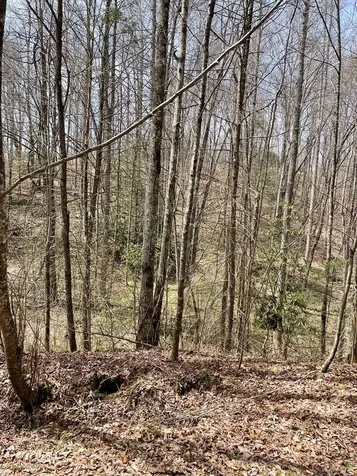 00 Hidden Lakes Topton NC 28781